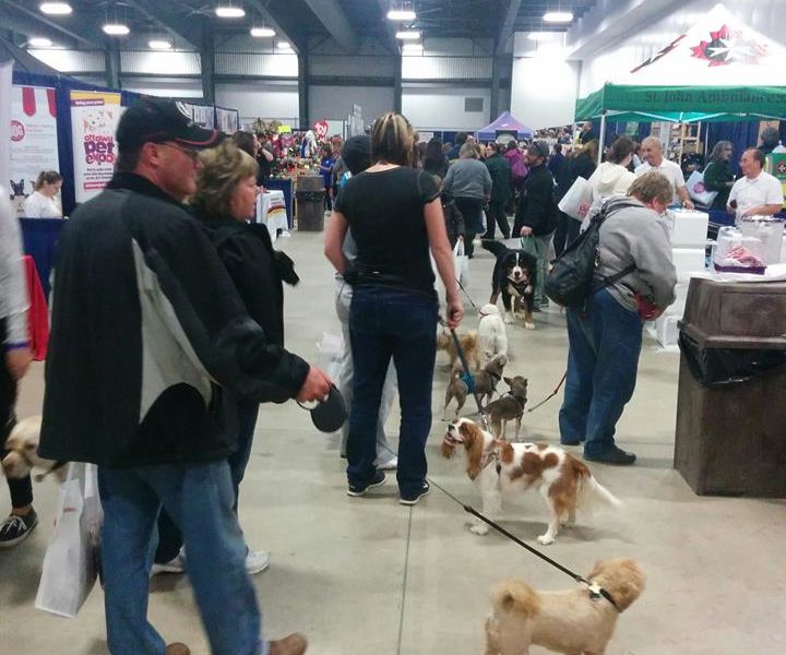 Ottawa Pet Expo